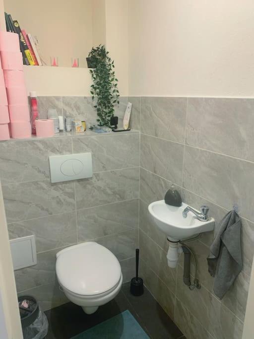 Magnifique Logement A 5 Min De La Gare Daire Mons Dış mekan fotoğraf